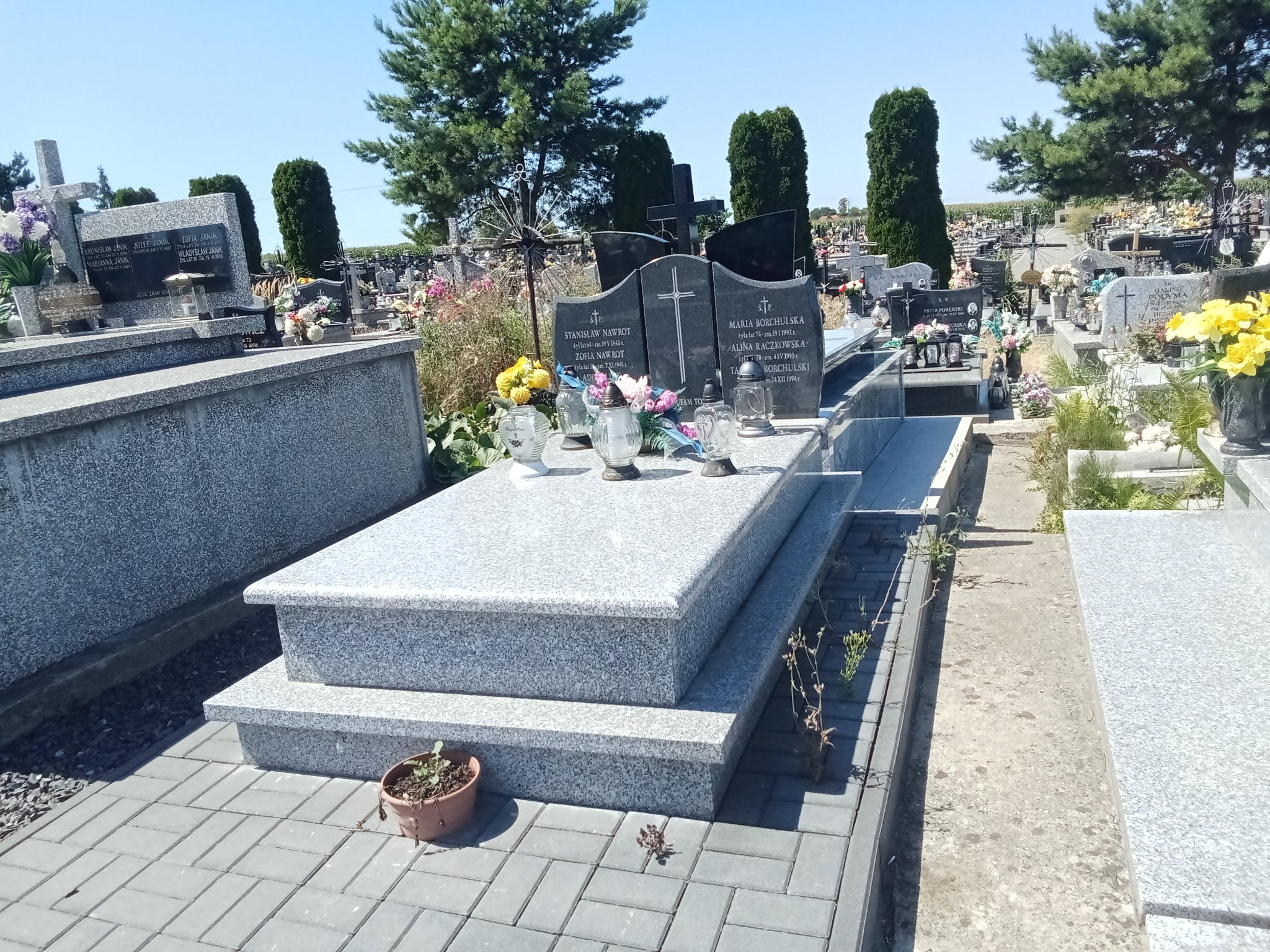 Grób Tadeusz Borchulski