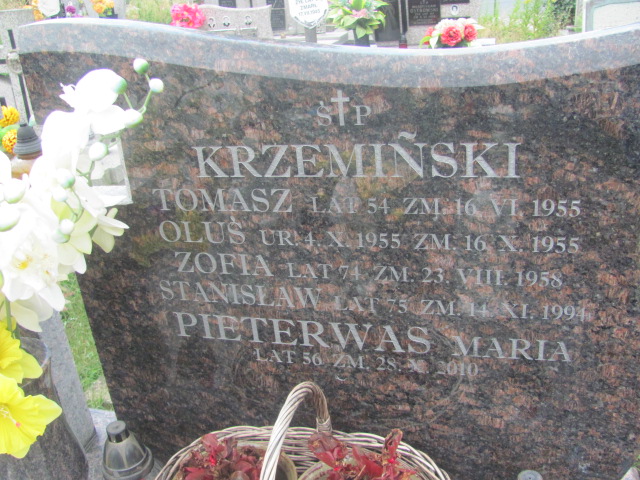 Tomasz Krzemiński Proszowice - Grobonet - Wyszukiwarka osób pochowanych