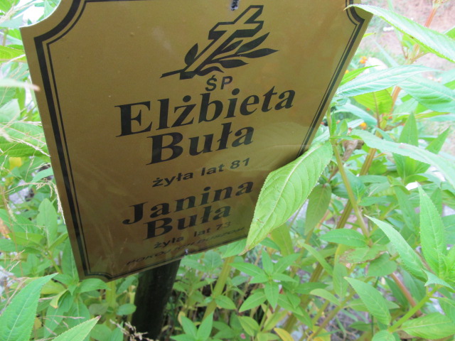 Elżbieta Buła Proszowice - Grobonet - Wyszukiwarka osób pochowanych