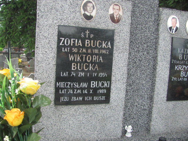 Krzysztof Bucki Proszowice - Grobonet - Wyszukiwarka osób pochowanych
