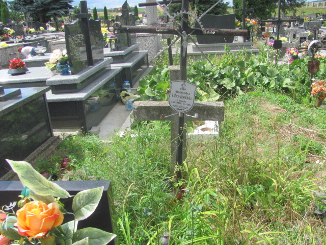 Grób Aleksandra Lubicz Kośmińska 