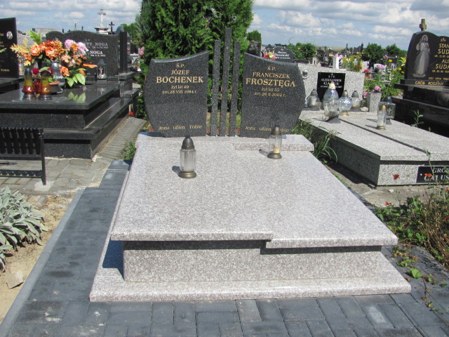 Grób Franciszek Frosztęga 