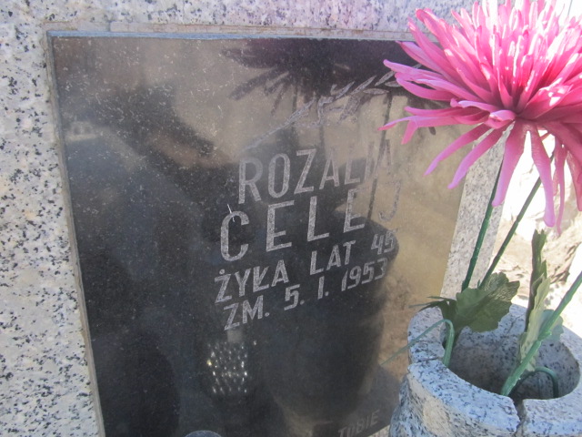 Rozalia Celej Proszowice - Grobonet - Wyszukiwarka osób pochowanych