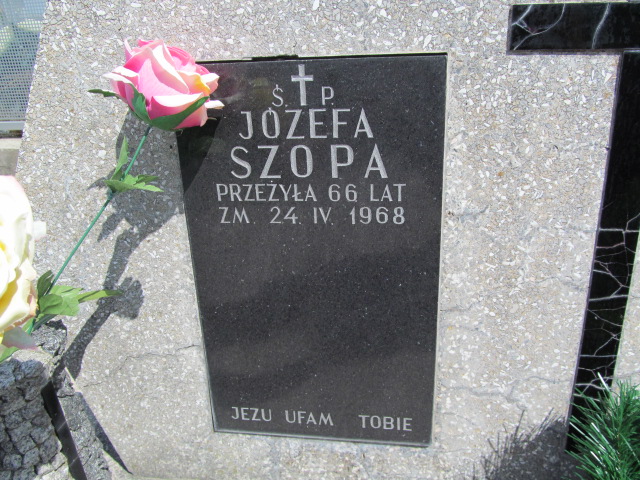 Jerzy Tomasik 1949 Proszowice - Grobonet - Wyszukiwarka osób pochowanych